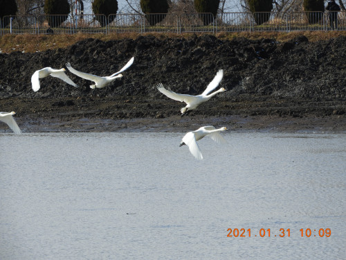 DSCN9859.JPG