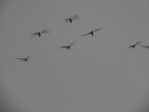 DSCN9900.JPG
