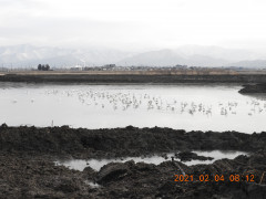 DSCN0028.JPG