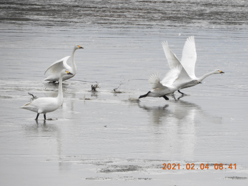 DSCN0091.JPG