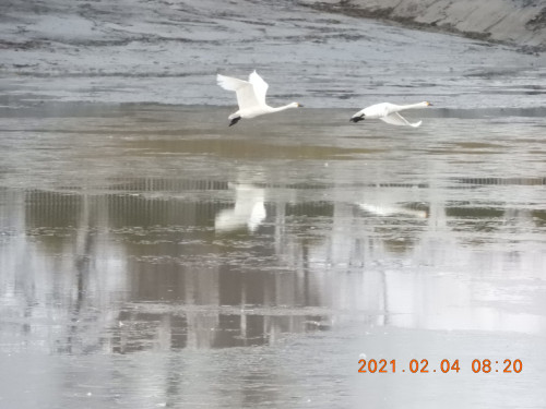 DSCN0039.JPG