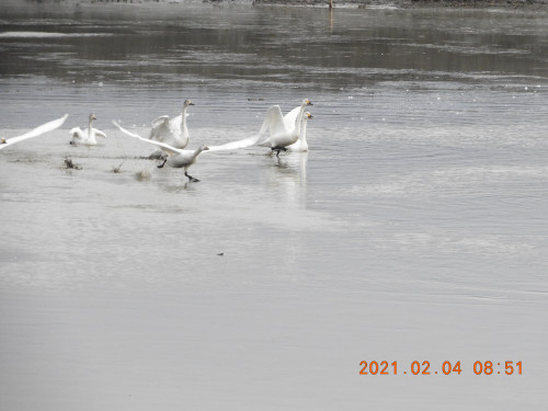 DSCN0136.JPG