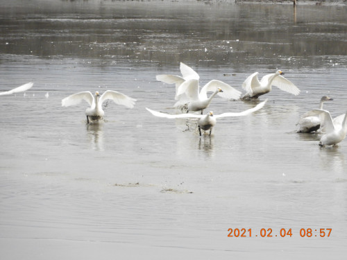 DSCN0164.JPG