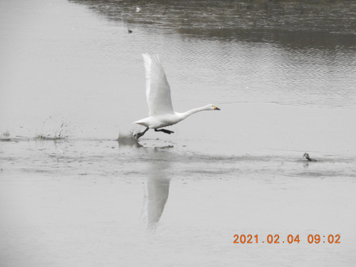 DSCN0190.JPG