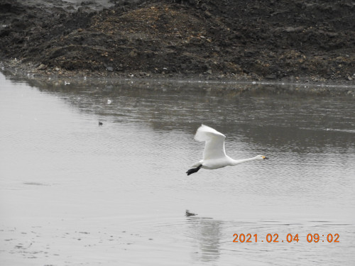DSCN0193.JPG