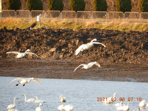 DSCN0229.JPG