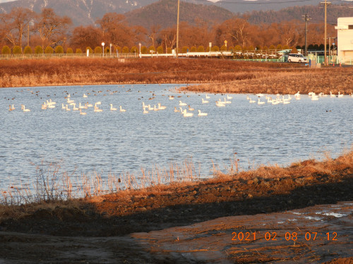 DSCN0218.JPG