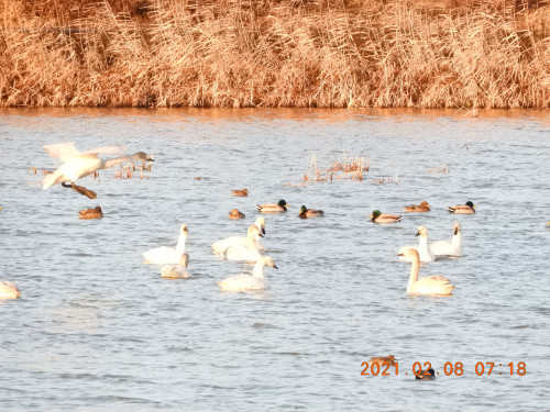 DSCN0231.JPG