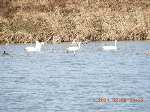 DSCN0242.JPG