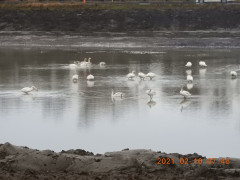 DSCN0275.JPG