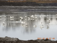 DSCN0276.JPG