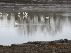 DSCN0277.JPG