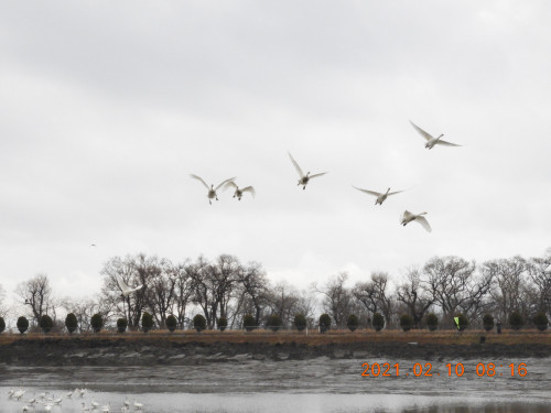 DSCN0290.JPG