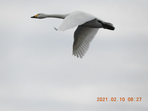 DSCN0323.JPG