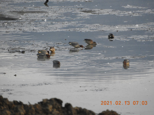 DSCN9959.JPG