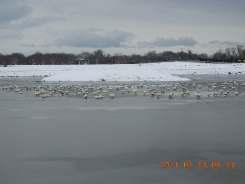 DSCN9988.JPG