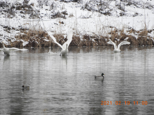 DSCN0209.JPG