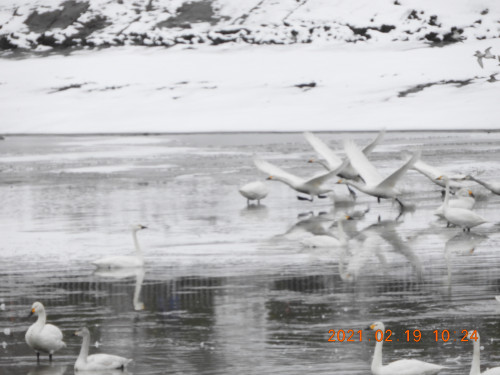 DSCN0113.JPG