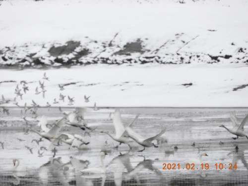 DSCN0114.JPG