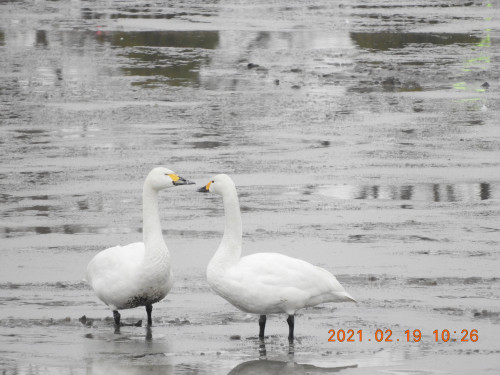 DSCN0134.JPG