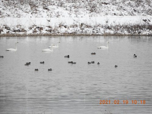 DSCN0091.JPG