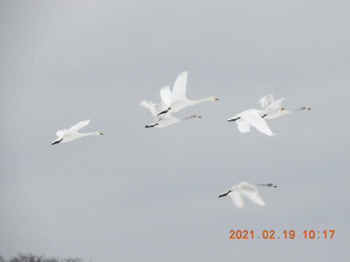 DSCN0085.JPG
