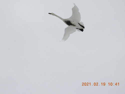 DSCN0173.JPG