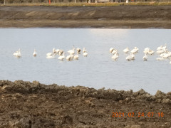 DSCN0304.JPG