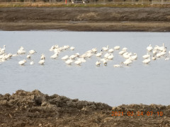 DSCN0305.JPG