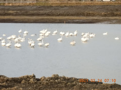 DSCN0306.JPG