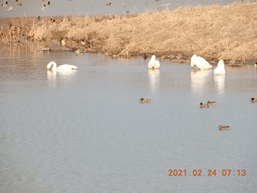 DSCN0307.JPG