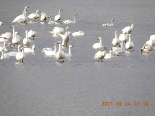 DSCN0321.JPG
