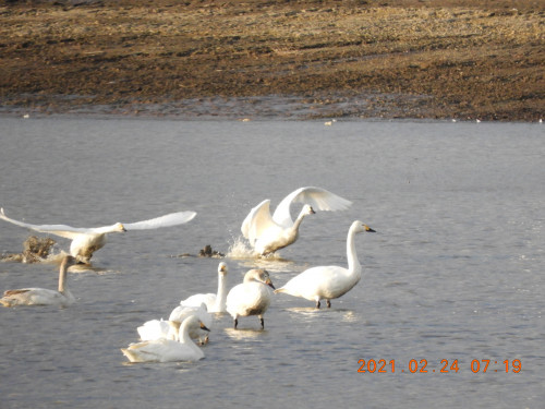 DSCN0322.JPG
