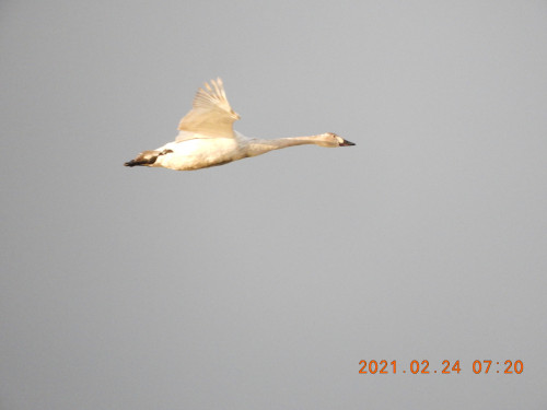 DSCN0330.JPG