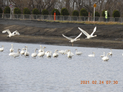 DSCN0355.JPG