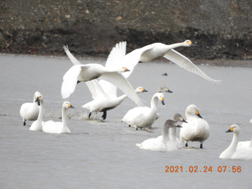 DSCN0438.JPG
