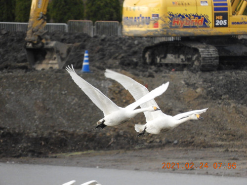 DSCN0439.JPG