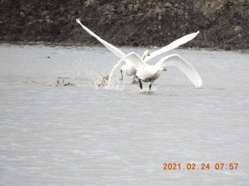 DSCN0445.JPG