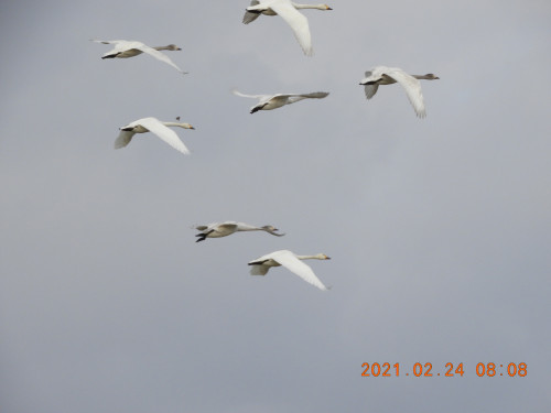 DSCN0504.JPG
