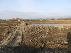 DSCN0529.JPG