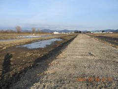 DSCN0530.JPG
