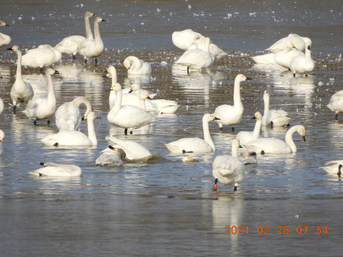 DSCN0550.JPG