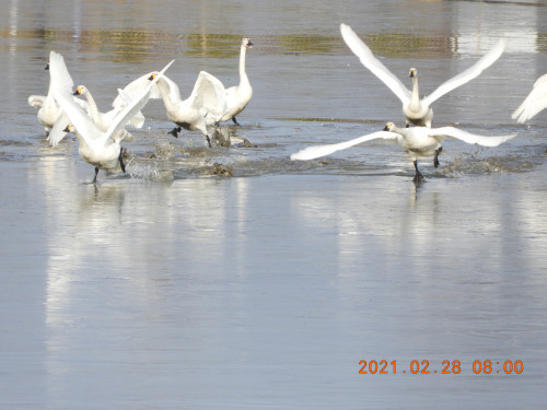 DSCN0556.JPG