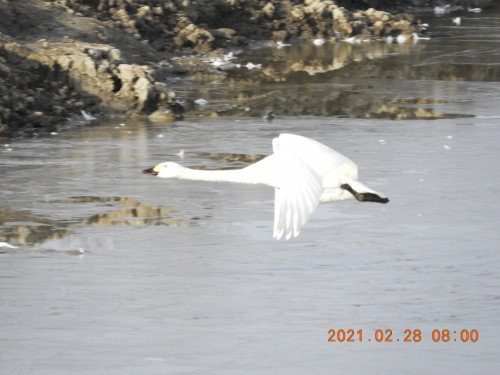 DSCN0563.JPG