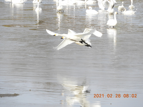 DSCN0577.JPG