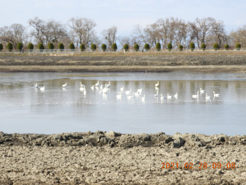 DSCN0675.JPG