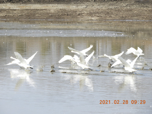 DSCN0687.JPG