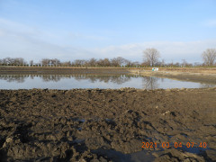 DSCN0001.JPG