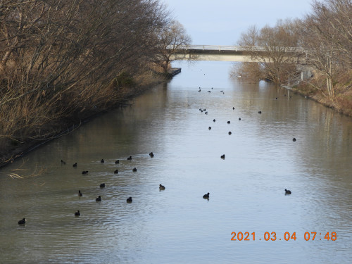 DSCN0011.JPG