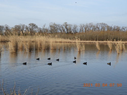 DSCN0012.JPG